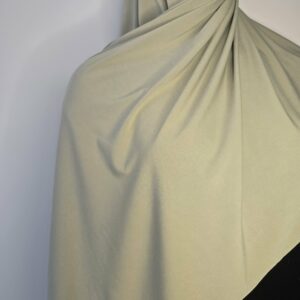 Jersey premium Vert pâle - 29 -